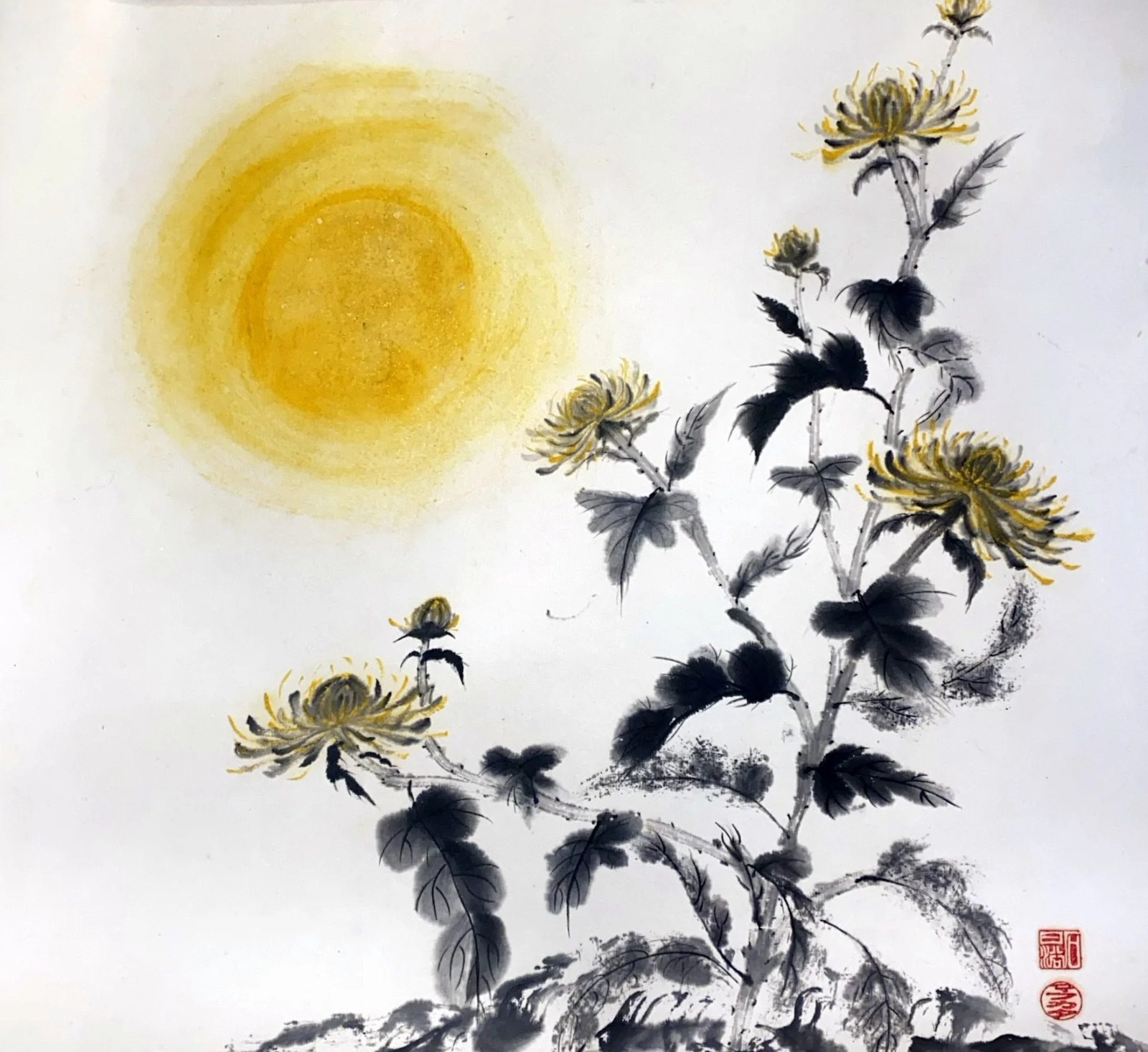 Éclat du soleil, Catalina Maftei